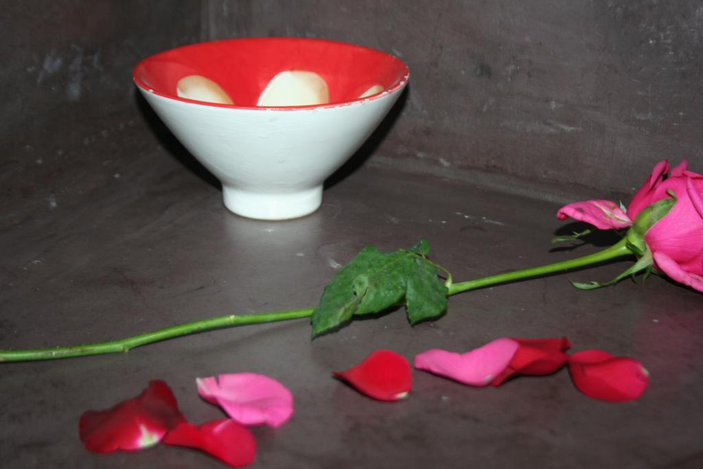 מרקש Riad Alghani מראה חיצוני תמונה